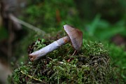 IMG_2267