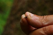 IMG_2268