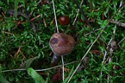 IMG_2270
