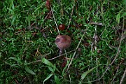 IMG_2271