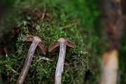 IMG_2276