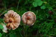 IMG_2277
