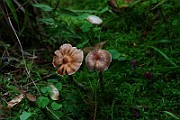 IMG_2280