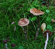 IMG_2290
