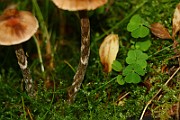 IMG_2298