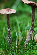 IMG_2301