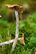IMG_2313