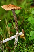 IMG_2314