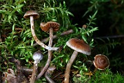 IMG_9353