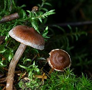 IMG_9353b