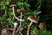 IMG_9354