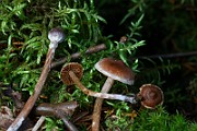 IMG_9355