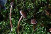 IMG_9357