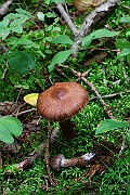 IMG_2127