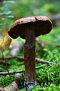 IMG_2134