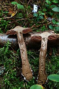 IMG_2138