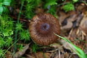 IMG_2154