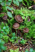 IMG_2156