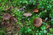 IMG_2157