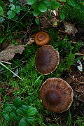 IMG_2162
