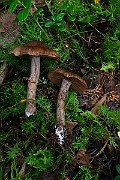 IMG_2163
