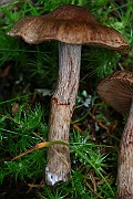 IMG_2164