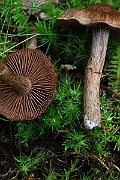 IMG_2165