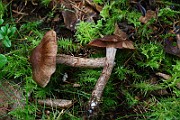 IMG_2166