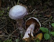 IMG_1913