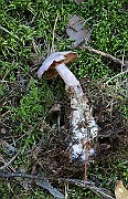 IMG_1917