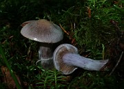 IMG_6093