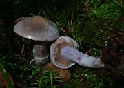 IMG_6094