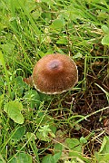 IMG_0653