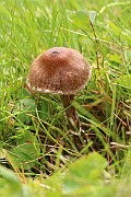 IMG_0654