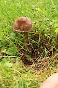 IMG_0655