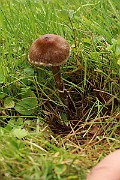IMG_0656