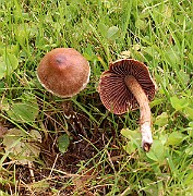IMG_0657