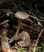 IMG_0327
