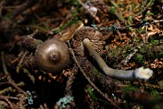 IMG_0328