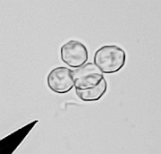 x20200721_212840