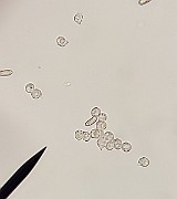 x20200721_212902