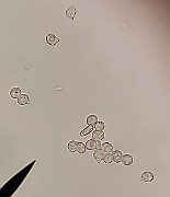 x20200721_212904