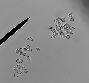 x20200721_213054