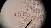 20200722_043731