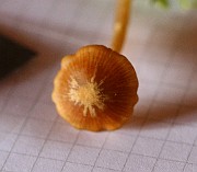 IMG_0279