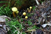 IMG_2456