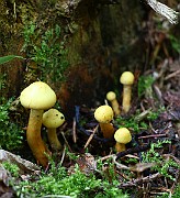 IMG_2457