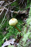 IMG_2458