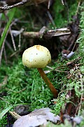 IMG_2459