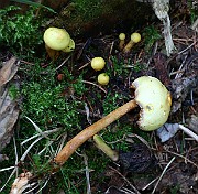 IMG_2461